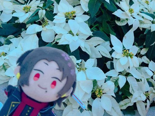 きれい ねえ