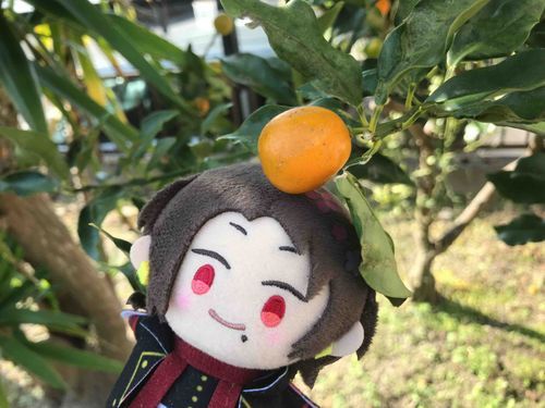 あけまして おめでと