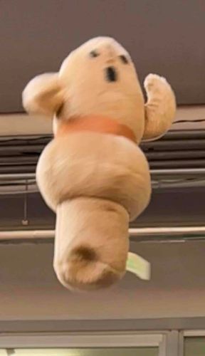 豪快に飛んでみた❕