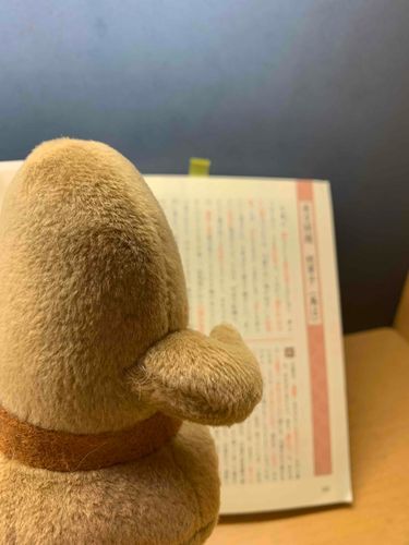 ご主人が懐かしい言葉遣いの文を読んでいた。

いとおかし┏|∵|┛