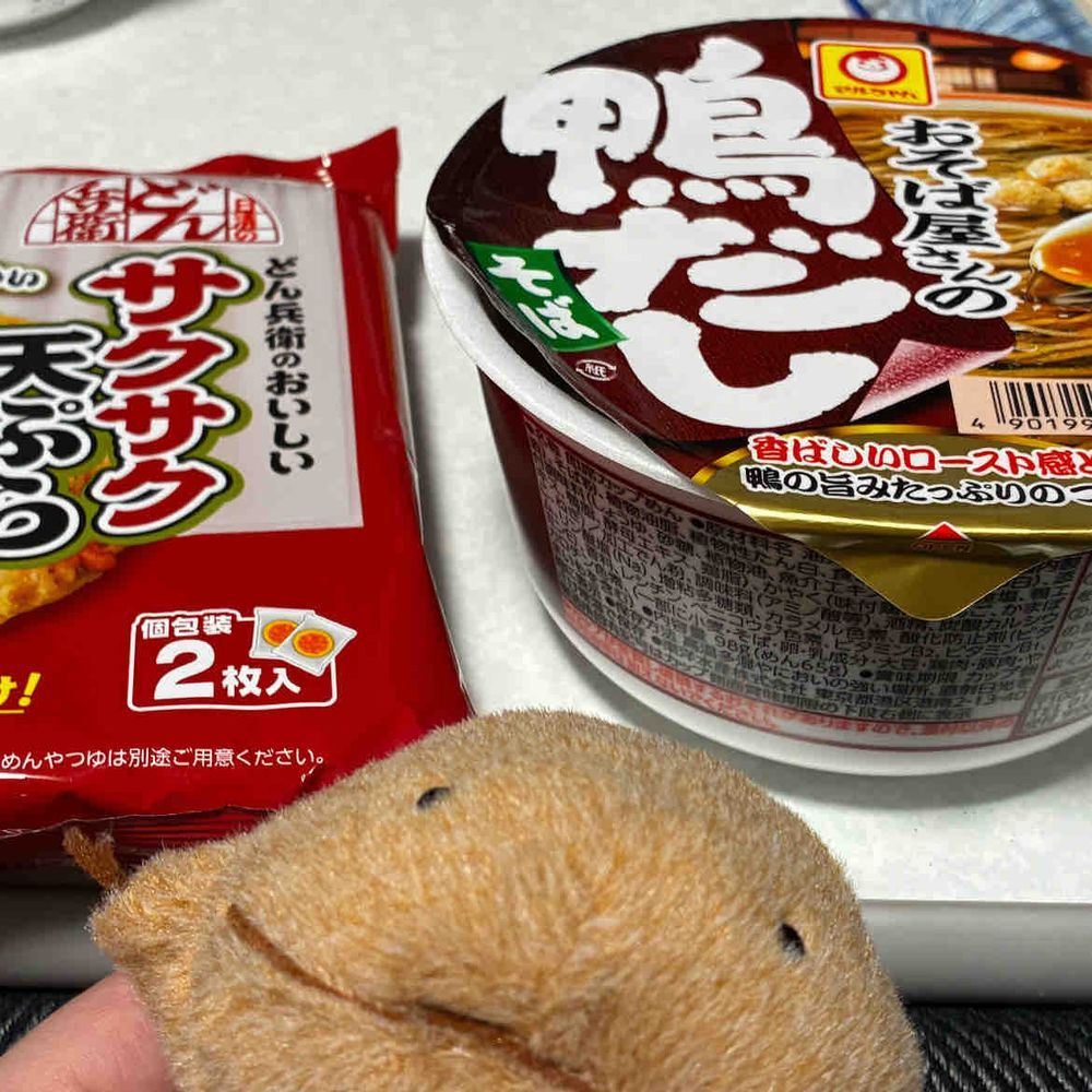 今日は大晦日だから年越しそばたべたよ。ミックスそばだよ。わいとおんなじ色だなぁ。とってもおいしかったよ。来年もよろしくね。