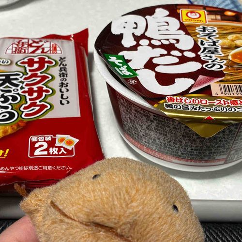 今日は大晦日だから年越しそばたべたよ。ミックスそばだよ。わいとおんなじ色だなぁ。とってもおいしかったよ。来年もよろしくね。