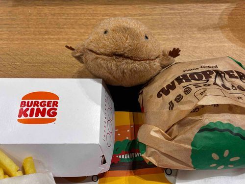 この前、年忘れにバーガーキングでワッパーとチリチーズフライたべたよ。はじめてのオールヘビーで玉ねぎしゃきしゃきだったよ。バーキンで1番おいしいのはチリチーズフライかもなぁ。わいとおんなじ色だなぁ。とってもおいしかったよ。