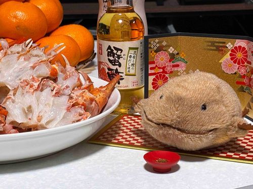 明けましておめでとうだよ。また新年を迎えられて嬉しいなぁ。おめでたいからカニたべたよ。はじめてかにすといっしょにたべたよ。わいとちがう色だなぁ。紅白でおめでたいね。今年もおいしいものいっぱいたべたいなぁ。