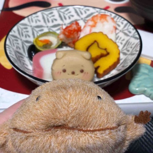 お正月にはおせちたべたよ。おとりよせの冷凍のものだけど、どれも味しみしみだったよ。冷凍してもおいしくたべられるようにいーっぱい考えられてるんだって。わいとおんなじ色もちがう色もあるなぁ。とってもおいしかったなぁ。