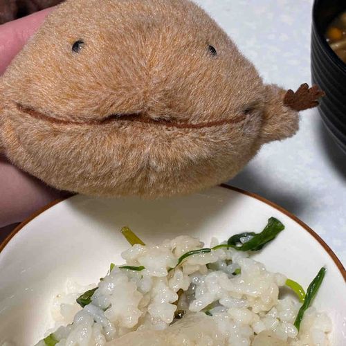 1月7日にななくさ粥たべたよ。ほんとは朝にたべるのが風習なんだって。夜にたべてもおいしいから大丈夫だよ。わいとちがう色だなぁ。やさしいおあじでおいしかったよ。