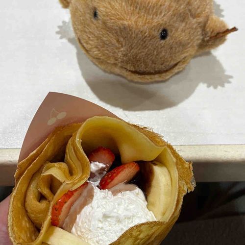 今日はクレープたべたよ。いちごとバナナがはいってたよ。わいとおなんなじ色もあるなぁ。ちがう色もあるなぁ。いろんな味がしておいしかったよ。