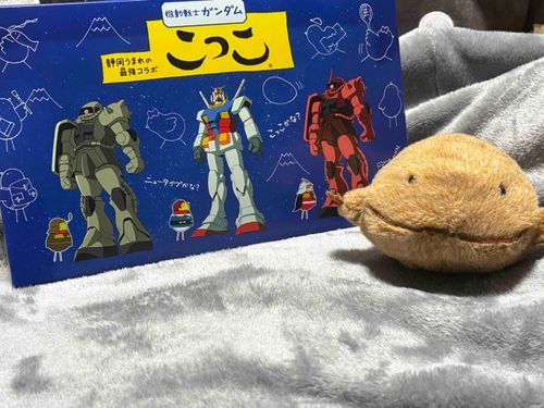 今日は静岡のおかし、こっこをもらったよ。静岡にはBANDAIがあるからガンダムコラボだよ。ニュータイプかな？こっこかな？わいまるだよ。