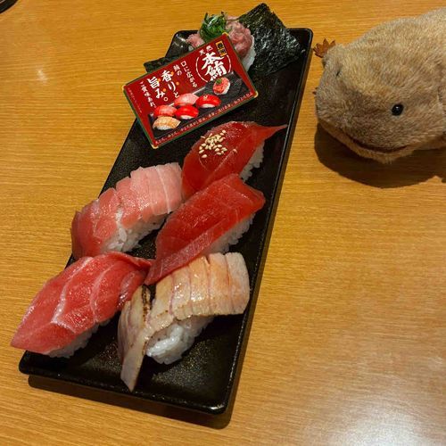 今日はおすし食べたよ。まぐろがいっぱいのってるお皿だよ。これ全部わいがたべていいのかなぁ。1個だけわいとおんなじ色だなぁ。ほかはわいとちがう色だなぁ。とってもおいしかったよ。