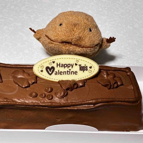 今日はバレンタイン後夜祭だから、トップスのチョコケーキたべたよ。クリームたっぷり、なかにクルミが入ってたよ。クルミが『あくせんと』なんだって。わいとおんなじ色だなぁ。あまあまでおいしかったよ。