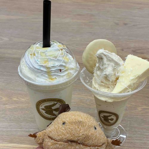 チーズガーデンでホワイトチーズケーキのデザートたべたよ。いつものは表面が焼いてあって、ホワイトはレアチーズみたいなかんじだよ。わいとちがう色だなぁ。おいしくてぜんぶ1人でたべちゃったよ。