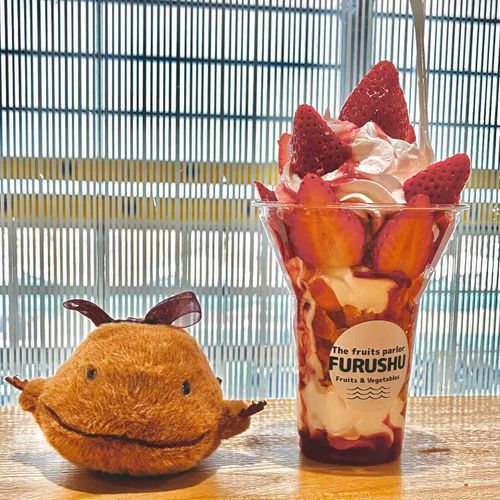 いちごフェアやってたから、いちごたっぷりパフェたべたよ。山盛りクリームの中にバニラアイスが入ってて、甘酸っぱいいちごと合わさって春のおあじだったよ。わいとちがう色だなぁ。あ、かわいいリボンつけてもらったよ。