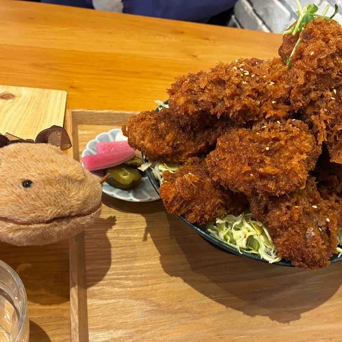 今日はやまもりヒレカツ丼たべたよ。すっぱあまあまなソースがかかってたんだ。おにくもしっとりやわらかでごはんがすすむおあじだったよ。わいとおんなじ色だなぁ。おなかいっぱいたべてしあわせだったよ。