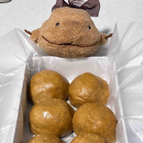 今日は湯乃花饅頭たべたよ。かわもあんこもかるくて何個でもたべられちゃうよ。わいとおんなじ色だなぁ。ふわふわなのもわいと一緒だったよ。とってもおいしかったよ。