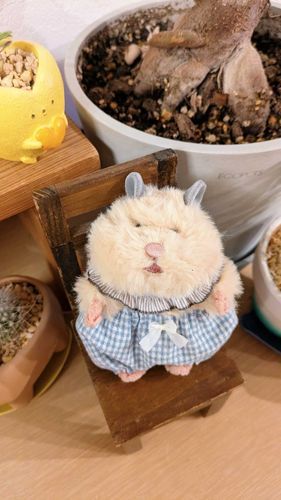 きんたろにかぼちゃパンツ作ったよー