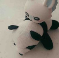 モモとパンダ🐼