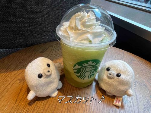 スタバ！オシャレ！