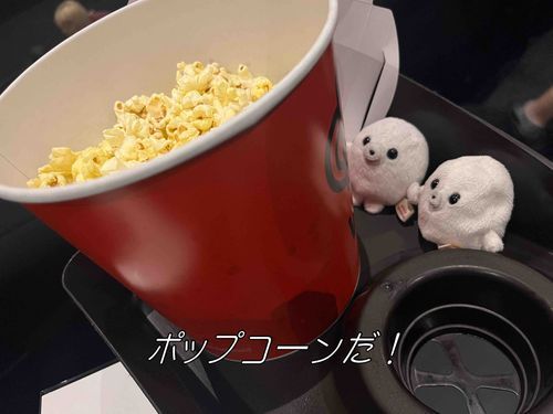 初めての映画館！