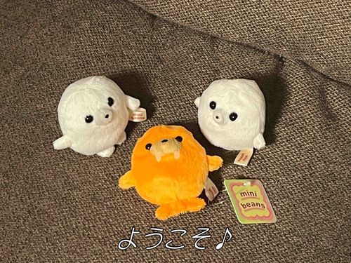 我が家にも来た！！！