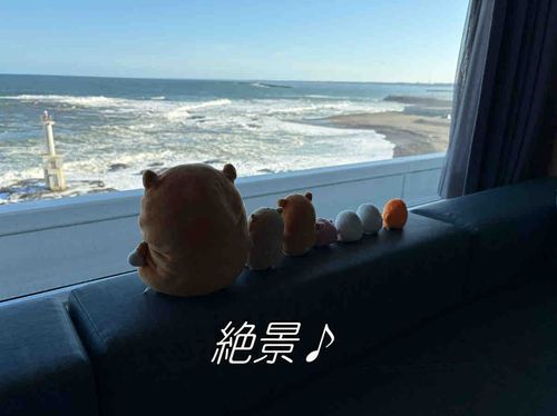 海が見えるホテルに泊まりにきたよ！