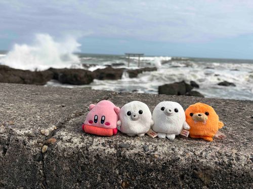 火サスみたい！
