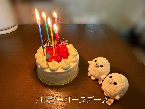 昨日お誕生日でした！🎂