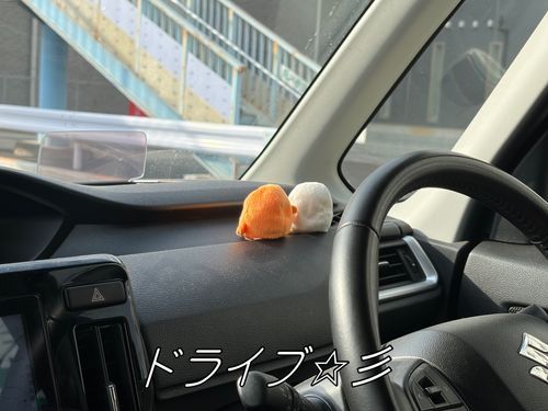 サーティワンに向かう途中！