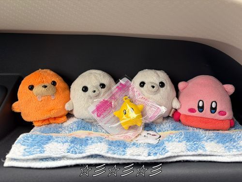 チコGET！