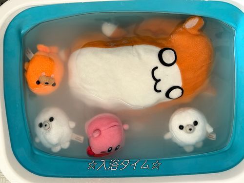 綺麗になーれ！