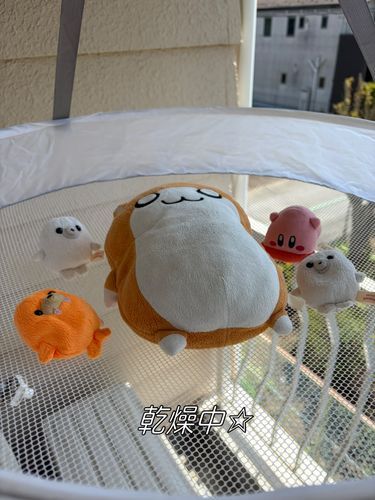 お天気良かった！