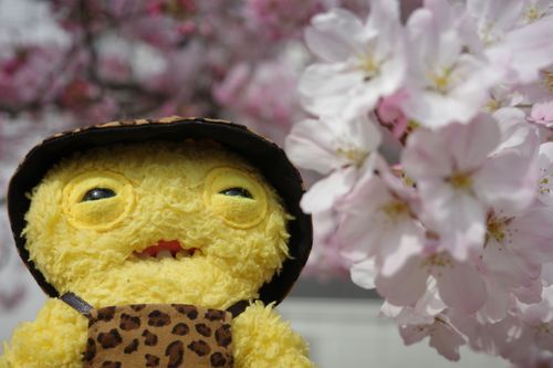 春だな
