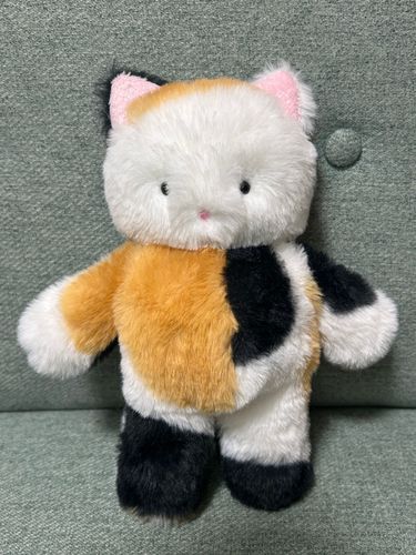 つぶらおめめの三毛猫ちゃん