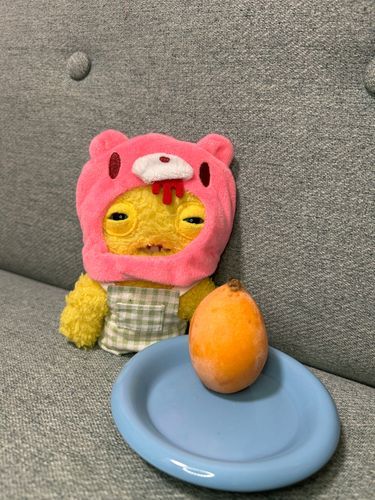 ふるさと納税のびわ。いいオレンジ色だな