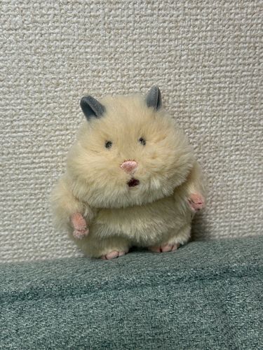 はむにぎりのシェイク！よろしく！