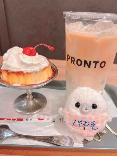 パヤ毛　かため　ぷりん　おきにいり
