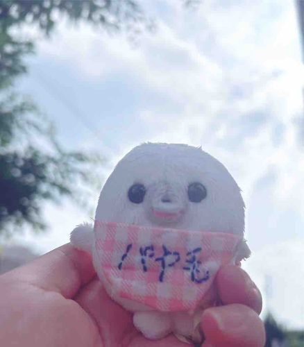 きょは　あざらし　の　みんな　で

あいす　たべた　よー🦭

あつ　かたね