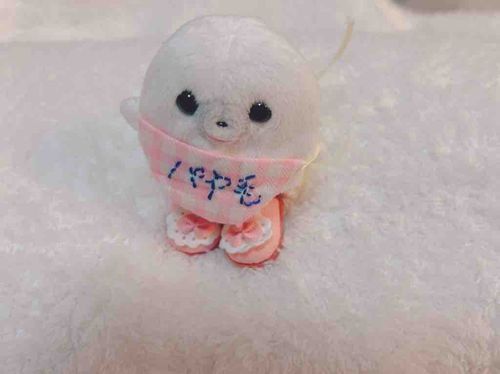 よい　しょ　っ

おくつ　はいて　おさんぽ　する　よー🦭