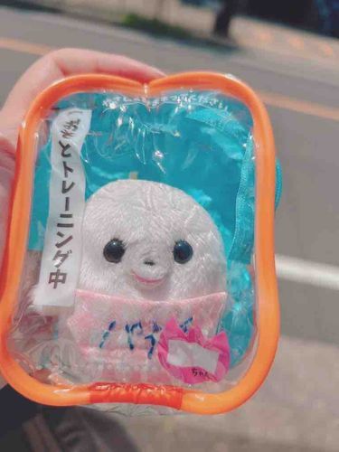 パヤ毛　たいいん

おそと　とれにんぐ　ちゅ！