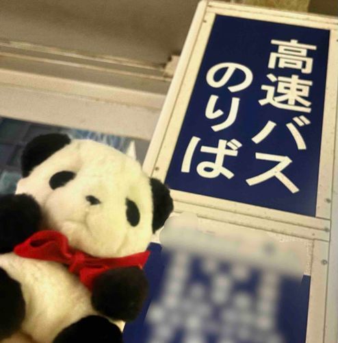 はじめての やこうバス！
おやすみなさ〜い💤