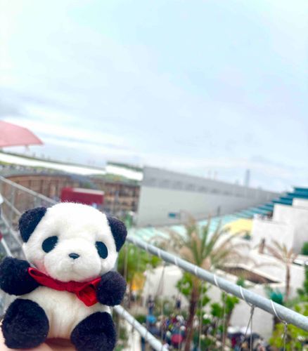 ごしゅじんと ばんぱくに 行ってきました！