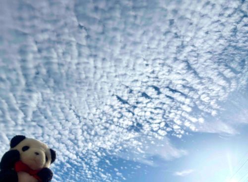 うろこぐも☁️