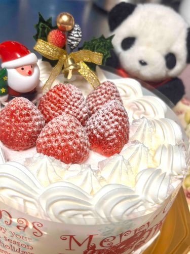 クリスマスだ〜！