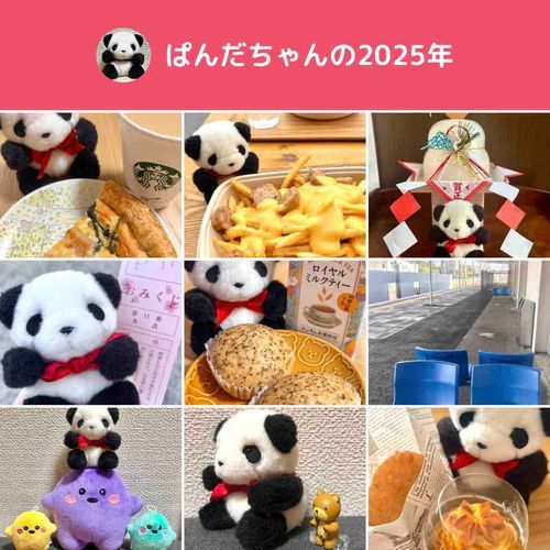 ぼくの 2025年！
ばんぱくに 行ったりして、たのしかったな〜🌸
来年は もっと いろんな ところに おでかけしたいな♪