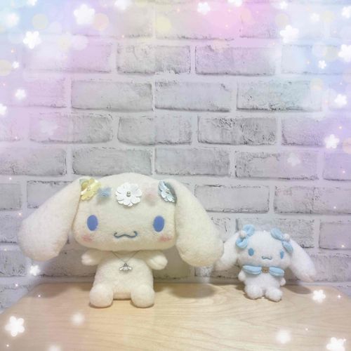 妹と写真を撮ってみたよ！