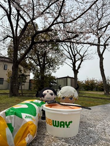 お花見