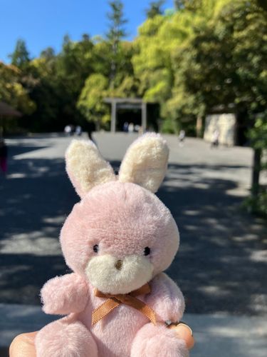 お伊勢参りに行ってきたよ♪
おかげさまで生きております