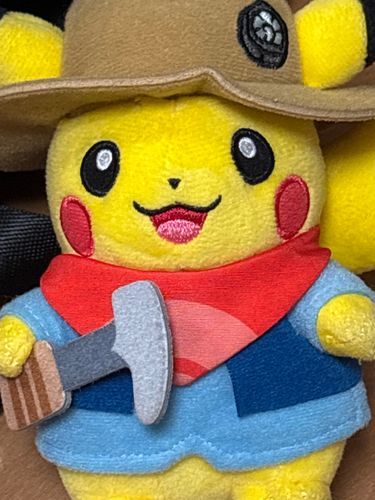 暑いピカザマス
#太陽と繋がりたい