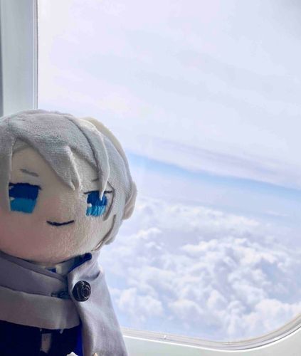 おれに会いに行く✈️☁️まあ、付き添いかな✨