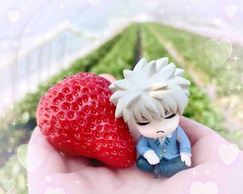 いちごの汁で汚れちゃうから
ぬいちゃんじゃないけど…
この前いちご狩りに一緒に
連れて行ったよ🍓❤️