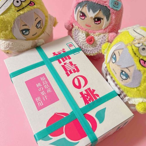 ふくしまのおとモンだちからとどいたよ！